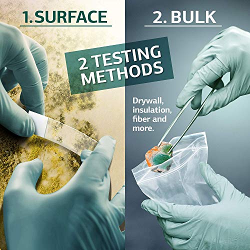 Mold Test Kit for Home AllInclusive Detection Kit DIY Mold Detector