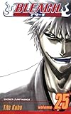 Bleach, Vol. 25