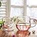 Cupwind 17 Ounce Borosilicate Glass Teacups with Infuser, Thickened Heat-Resistant Glass Tea Mug