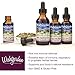 WishGarden Herbs Kick-Ass Biotic Immune Hero - Plant-Based Herbal Biotic Formula with Usnea Lichen, Hops, Echinacea & Goldenseal, Supports Healthy Immune, Respiratory & Lymph System Function, 2oz