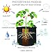 AROMA TREES Round Plant Grow Bags Heavy Duty Thickened Fabric Pot Grow Bags with Handles for Gardening Pots, Aeration Container, Planters Healthy Root System (10-Pack 10 Gallon)thumb 4