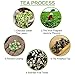 Jasmine Dragon Pearls Green Tea Loose Leaf 4oz