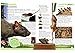 First Animal Encyclopedia (Dk First Reference)