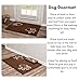 BIRDROCK Home Chenille Dog Doormat - Absorbent Surface to Keep Floors Clean, Non-Skid Bottom for Safety, Ultra-Soft & Durable, Ideal for Pets, Protects Floors from Dirt - 35 x 25, Brown