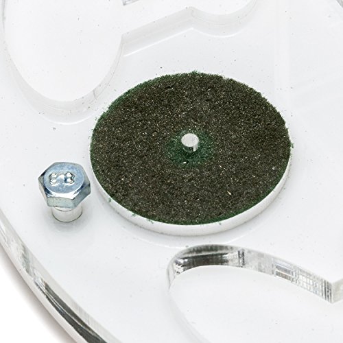 Ant Farm Educational Kit Circle Big (Formicarium, Ants) - Thumbnail 3