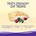 Wellness Kittles Grain-Free Whitefish & Cranberries Recipe Crunchy Cat Treats, 2 Ounce Bag