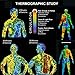 Abdominal Muscle Toner Belly Fat Burner Body Slimming Cream With HEAT Sweat Technology -Thermogenic Weight Loss Workout Enhancer