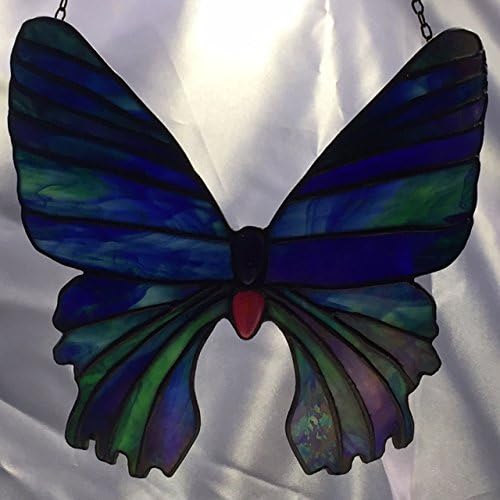 Madagascar sunset Moth Blue and Green