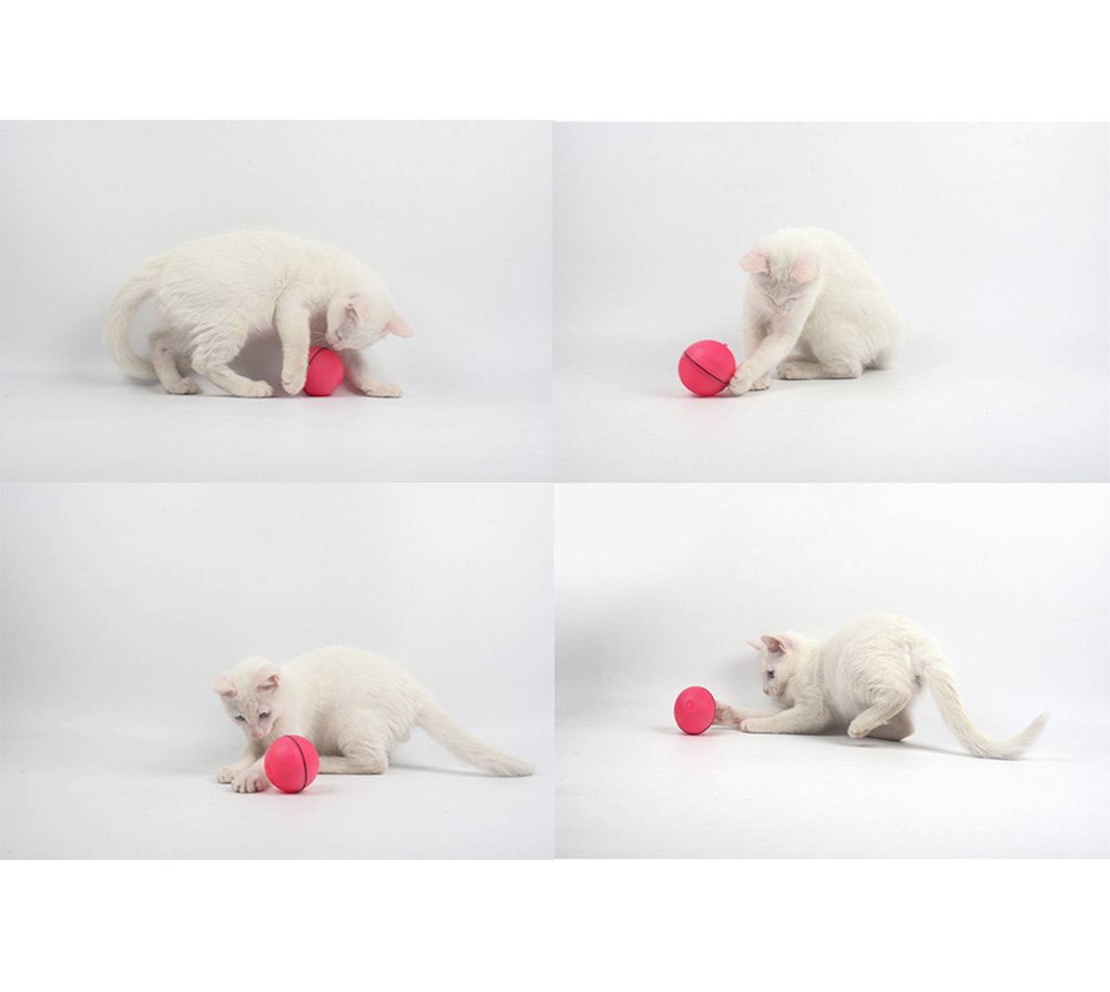 Interactive Cat Toy - 360 Degree Self Rotating Ball Automatic Light Toy For Pet, White and Pink(Batteries Included) (White)
