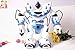 Dancing Robot Toy 16 Inch Tall Humanoid Robone with Remote Control and Pick up Accessory