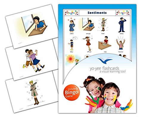 Feelings Flashcards in French Language - Flash Cards with Matching Bingo Game for Toddlers, Kids, Children and Adults - Size 4.13  5.83 in - DIN A6