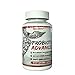 Best Probiotic | by Deus Vita | High Benefit Supplement for Adults | Healthy Live Strain Bacteria in a Capsule | (Bottle, 60 Count) | Excellent Value