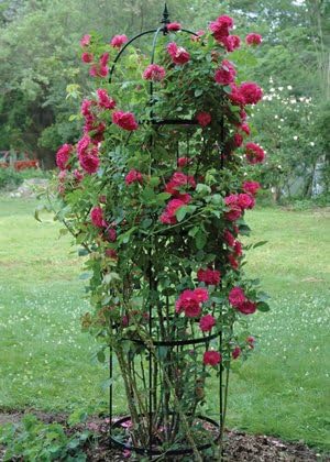 KIS Small Rose Pillar Obelisk