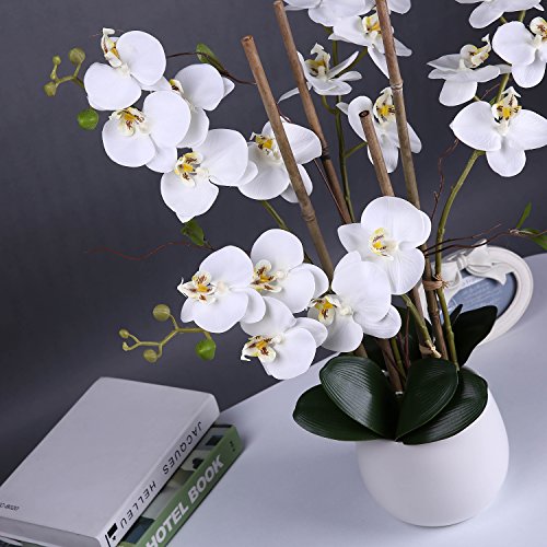 image for Livilan Large White Silk Orchid Artificial Flower Arrangements with Va