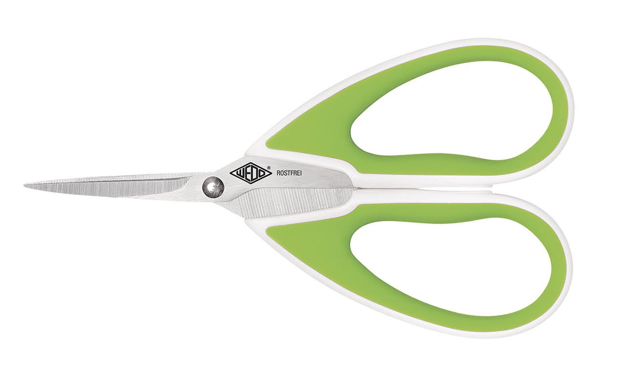 Wedo Comfortline 15 cm Hobby Scissor, Green,white