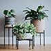 Plant Stand for Indoor & Outdoor Pots – Black, Metal Potted Plant Holder for House, Garden & Patio – Mid-Century Patented Design – Medium, By Thorne & Co.thumb 1