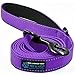 Max and Neo Reflective Nylon Dog Leash - Purple, 4 Feet