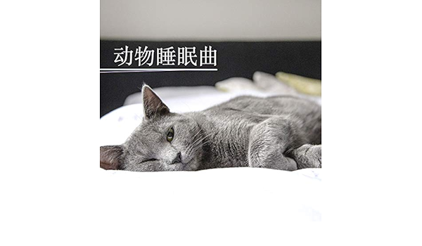 动物睡眠曲 18家庭宠物最好听的安眠曲by 动物音乐on Amazon Music Amazon Com