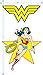 Popfunk Wonder Woman Plays Rough Licensed T-Shirt & Stickers (Medium) Charcoal