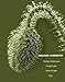 Organic Chemistry, 11th Edition