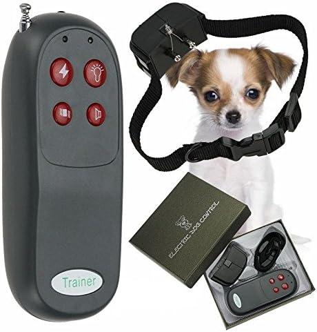 Training dog with vibration collar Clearance