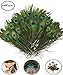 Fashionclub 100pcs Christmas Decor Natural Peacock Tail Eyes Feathers 8