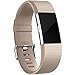 GEAK Fitbit Charge 2 Replacement Bands,Large,Champagne