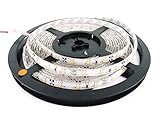 CMC Color Pink DC 12V LED Strip Light Flexible SMD 2835 16.4ft Tape Light for Home Kitchen Party Christmas and More Waterproof