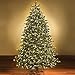 Best Ride On Cars BRC Holiday, Set of 140 Indoor Musical Twinkle Christmas LED Lights, Plays Classical Holiday Songs, Green Wire, 27.5 Ft Wire Length, 2