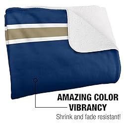 University of Akron Zips Primary Logo Stripes