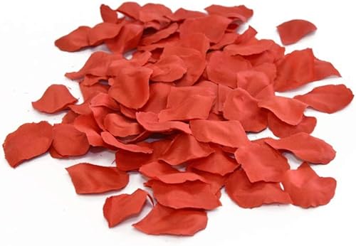 Download - - 144 Pétales De Roses Rouge PDF