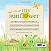 My Sunflower: Watch me bloom, from seed to sunflower, a pop-up book (Grow with Me!)