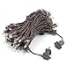 Novelty Lights 50ft 100 LED Warm White Christmas String Lights, 6