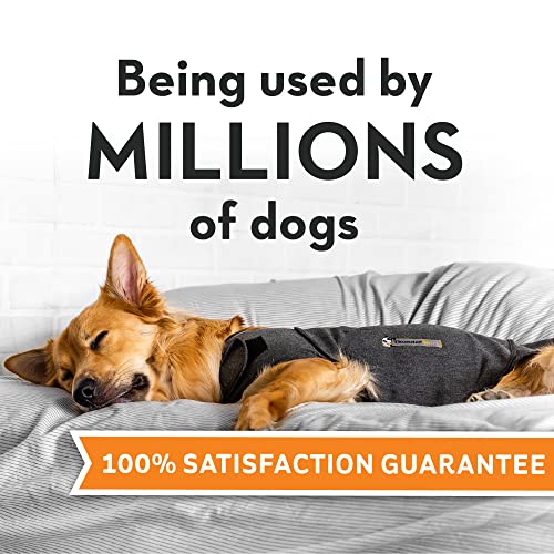 ThunderShirt for Dogs, XX Large, Heather Gray Classic Dog Anxiety