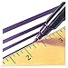 Tombow Dual Brush Pen Art Markers, Warm Gray 2 N79, 1-Pack