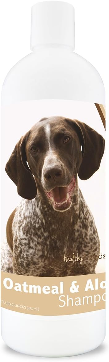 german shorthaired pointer hypoallergenic