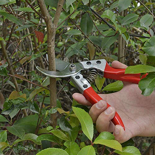 Barnel B888 Professional Sharp Bypass Pruning Shears, SK5 Steel Blade