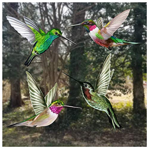 5 Anti+Collision+Window+Clings+Prevent+Strikes