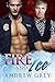 Fire and Ice (Carlisle Cops Book 2)