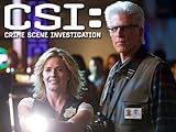 CSI: Crime Scene Investigation, Season 13