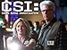 CSI: Crime Scene Investigation, Season 13