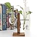 Water Planting Glass Vase,Clear Glass Vase Hanging Plant Terrarium with Retro Solid Wooden Stand for Hydroponics Plants Home Garden