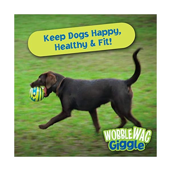 allstar innovations wobble wag giggle ball