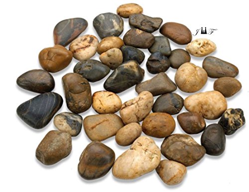 2 Pounds River Rock Stones - Natural Polished, Pebbles, Outdoor Decorative Stones, Natural Gravel, For Aquariums, Landscaping, Vase Fillers, Succulent, Tillandsia, Cactus pot, Terrarium Plants - Thumbnail 2
