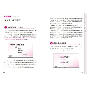 Zukai yoku wakaru keiraku chiryo kogi.