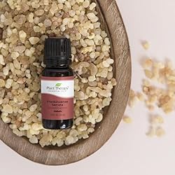 Plant Therapy Frankincense Serrata Essential Oils