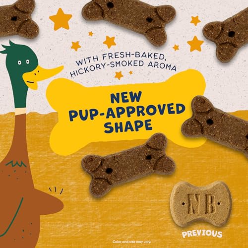 NATURAL BALANCE LIMITED INGREDIENT REWARDS CRUNCHY BISCUITS, GRAIN-FREE DOG TREATS FOR ADULT DOGS OF ALL BREEDS, DUCK RECIPE, 14 OUNCE (PACK OF 1)
