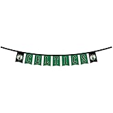 WinCraft Boston Celtics Banner String Pennant Flags