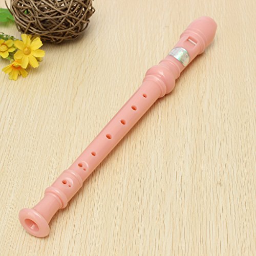 1 KINGSO+Soprano+Recorder+Cleaning+Instrument