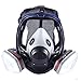 Holulo Organic Vapor Full Face Respirator With Visor Protection For Paint, chemicals, polish welding protection